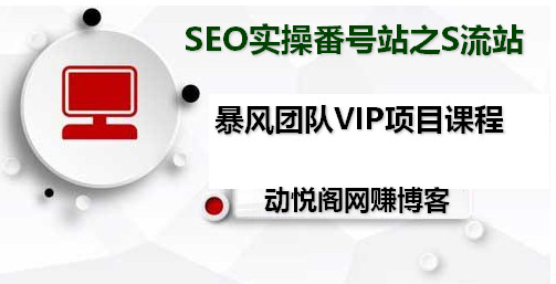 暴疯团队VIP赚钱项目课程：-SEO实操番号站之大流量S流站-千羽学社