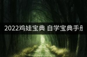 鸡娃宝典-2022鸡娃自学宝典手册 pdf电子版（赠2021版）