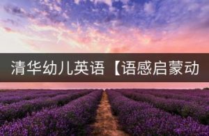 清华幼儿英语【语感启蒙动画】-千羽教务资料网