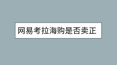 网易考拉海购是否卖正品？如何鉴别？-千羽学社