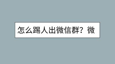 怎么踢人出微信群？微信自动收款的设置方法是什么？-千羽学社