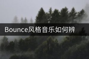 Bounce风格音乐如何辨别？电音爱好者该怎样挑选？-千羽教务资料网