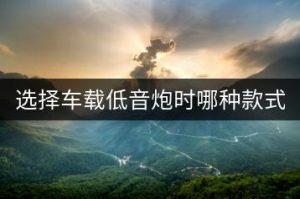选择车载低音炮时哪种款式更好？-千羽教务资料网