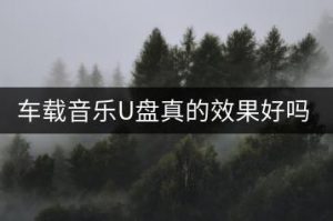 车载音乐U盘真的效果好吗？-千羽教务资料网