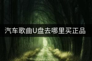 汽车歌曲U盘去哪里买正品？-千羽教务资料网