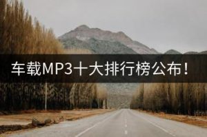 车载MP3十大排行榜公布！哪个牌子的车用MP3比较好？-千羽教务资料网