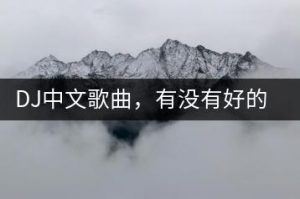 DJ中文歌曲，有没有好的推荐列表？-千羽教务资料网