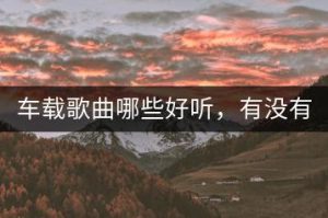 车载歌曲哪些好听，有没有DJ版推荐？-千羽教务资料网
