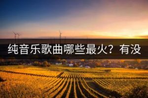纯音乐歌曲哪些最火？有没有推荐的大全？-千羽教务资料网