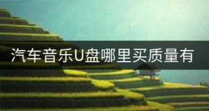 汽车音乐U盘哪里买质量有保证？-千羽教务资料网