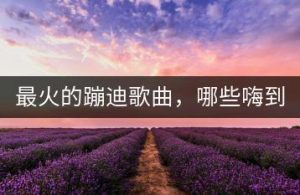 最火的蹦迪歌曲，哪些嗨到不行？-千羽教务资料网