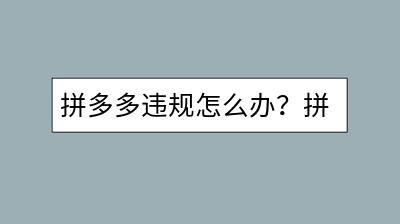 拼多多违规怎么办？拼多商家版有何特别？-千羽学社