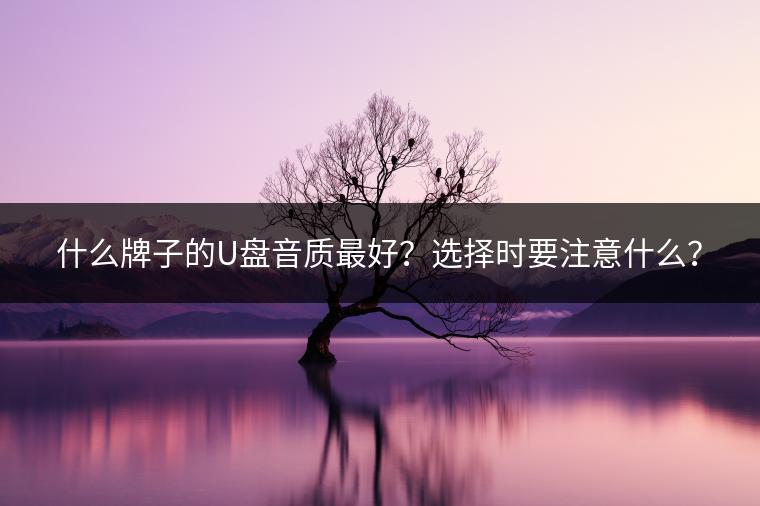 什么牌子的U盘音质最好？选择时要注意什么？